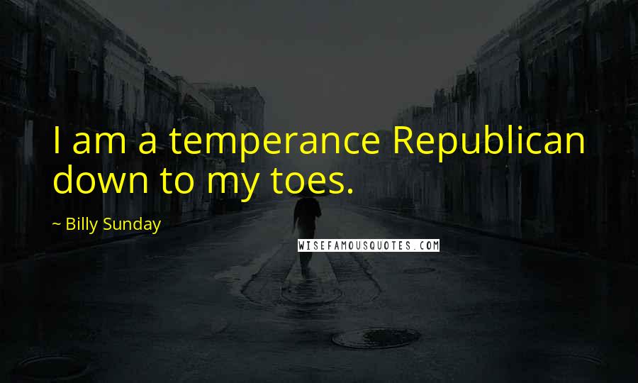 Billy Sunday Quotes: I am a temperance Republican down to my toes.