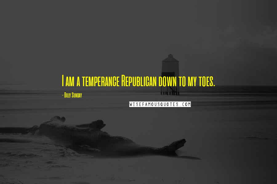 Billy Sunday Quotes: I am a temperance Republican down to my toes.