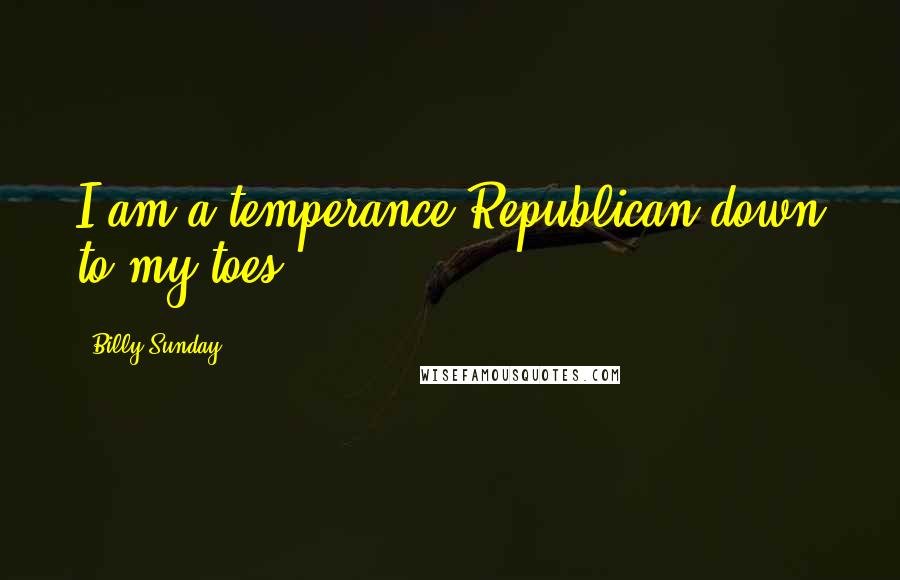 Billy Sunday Quotes: I am a temperance Republican down to my toes.