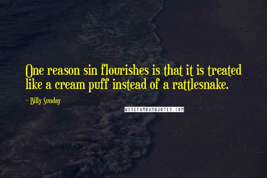 Billy Sunday Quotes: One reason sin flourishes is that it is treated like a cream puff instead of a rattlesnake.