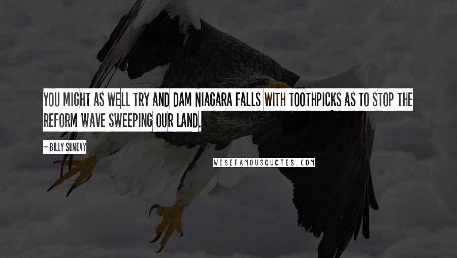 Billy Sunday Quotes: You might as well try and dam Niagara Falls with toothpicks as to stop the reform wave sweeping our land.