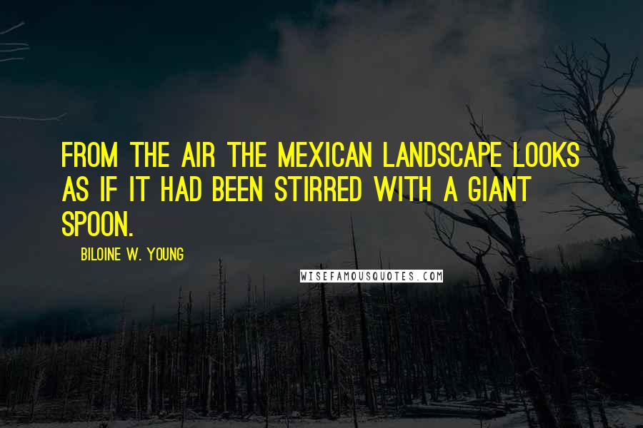 Biloine W. Young Quotes: From the air the Mexican landscape looks as if it had been stirred with a giant spoon.