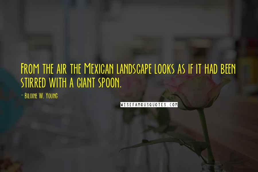 Biloine W. Young Quotes: From the air the Mexican landscape looks as if it had been stirred with a giant spoon.