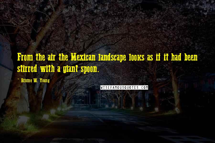 Biloine W. Young Quotes: From the air the Mexican landscape looks as if it had been stirred with a giant spoon.