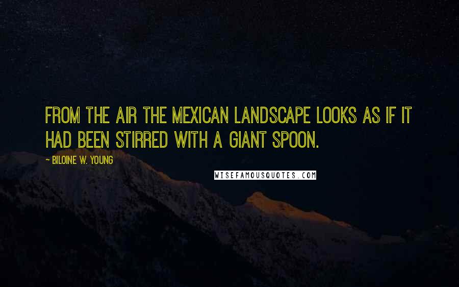 Biloine W. Young Quotes: From the air the Mexican landscape looks as if it had been stirred with a giant spoon.