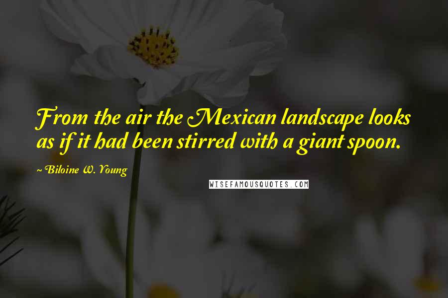 Biloine W. Young Quotes: From the air the Mexican landscape looks as if it had been stirred with a giant spoon.