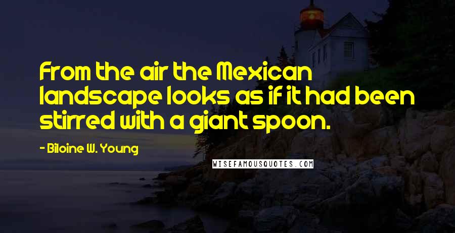 Biloine W. Young Quotes: From the air the Mexican landscape looks as if it had been stirred with a giant spoon.