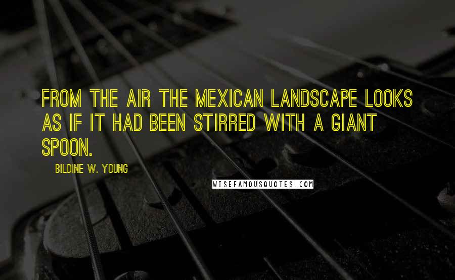 Biloine W. Young Quotes: From the air the Mexican landscape looks as if it had been stirred with a giant spoon.