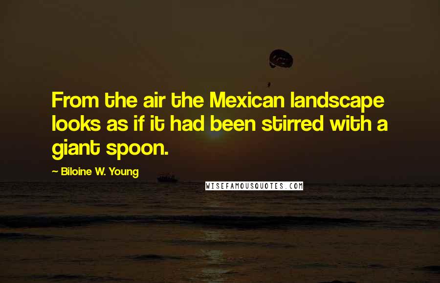 Biloine W. Young Quotes: From the air the Mexican landscape looks as if it had been stirred with a giant spoon.