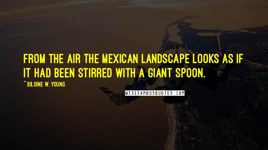Biloine W. Young Quotes: From the air the Mexican landscape looks as if it had been stirred with a giant spoon.