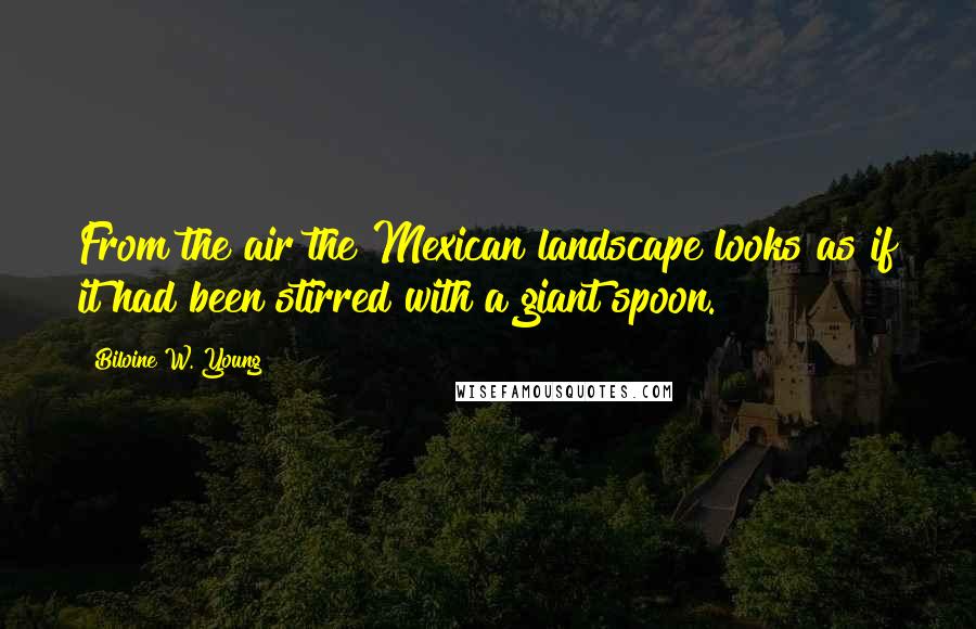 Biloine W. Young Quotes: From the air the Mexican landscape looks as if it had been stirred with a giant spoon.