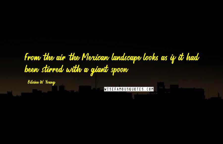 Biloine W. Young Quotes: From the air the Mexican landscape looks as if it had been stirred with a giant spoon.