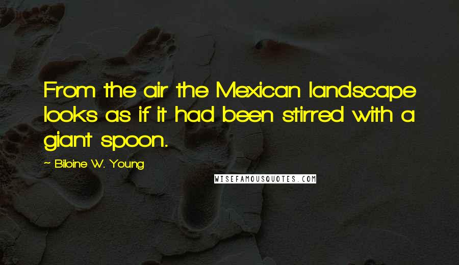 Biloine W. Young Quotes: From the air the Mexican landscape looks as if it had been stirred with a giant spoon.