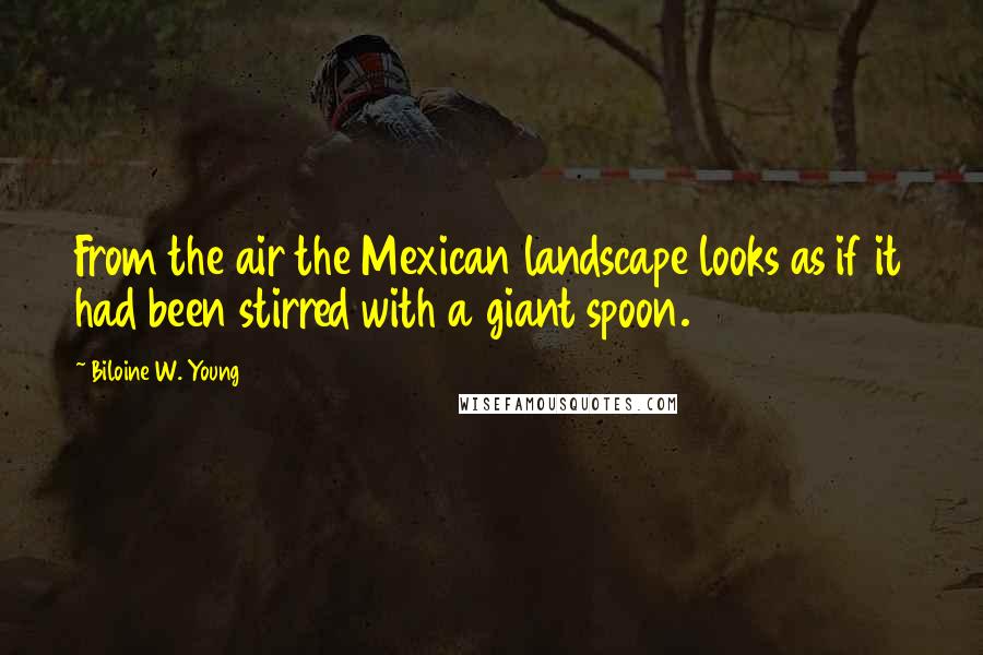 Biloine W. Young Quotes: From the air the Mexican landscape looks as if it had been stirred with a giant spoon.