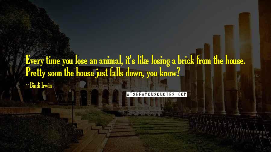 Bindi Irwin Quotes: Every time you lose an animal, it's like losing a brick from the house. Pretty soon the house just falls down, you know?