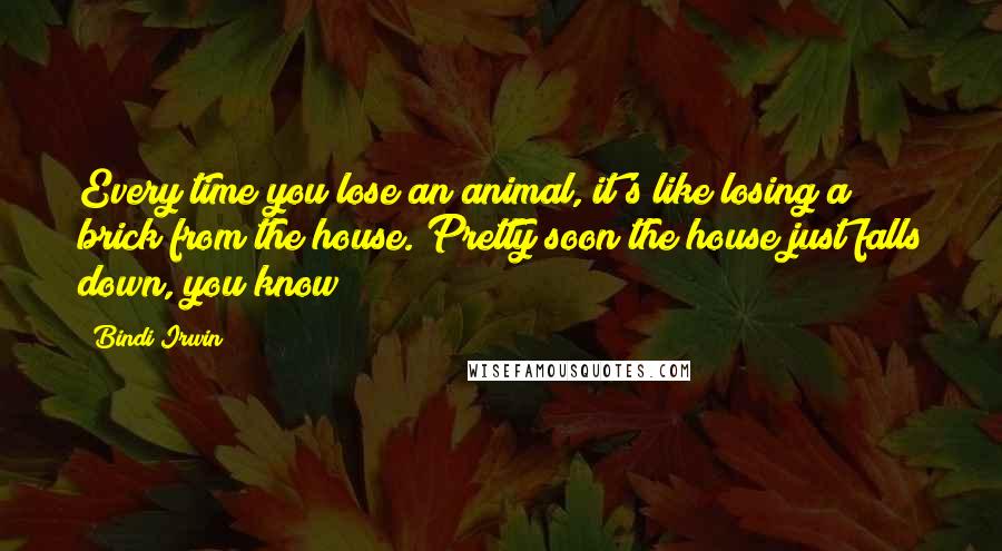 Bindi Irwin Quotes: Every time you lose an animal, it's like losing a brick from the house. Pretty soon the house just falls down, you know?