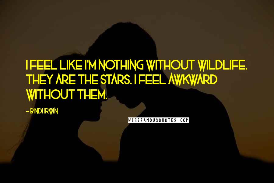 Bindi Irwin Quotes: I feel like I'm nothing without wildlife. They are the stars. I feel awkward without them.