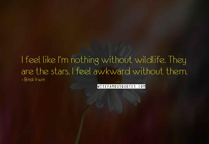 Bindi Irwin Quotes: I feel like I'm nothing without wildlife. They are the stars. I feel awkward without them.