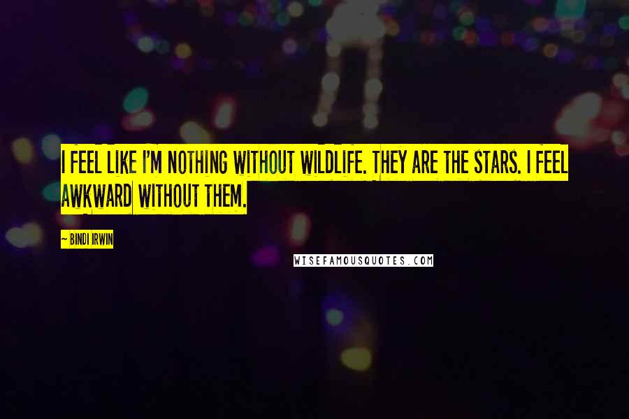 Bindi Irwin Quotes: I feel like I'm nothing without wildlife. They are the stars. I feel awkward without them.