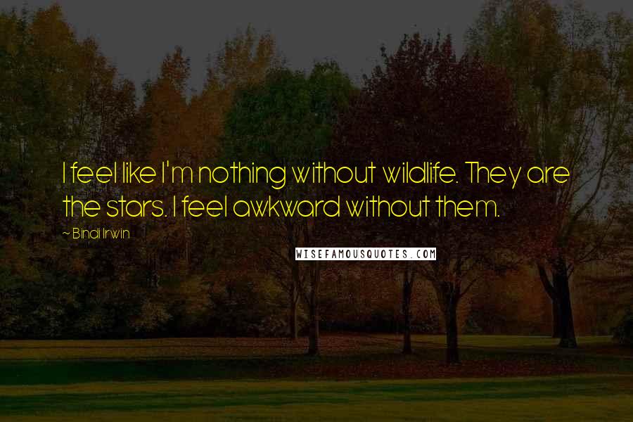 Bindi Irwin Quotes: I feel like I'm nothing without wildlife. They are the stars. I feel awkward without them.