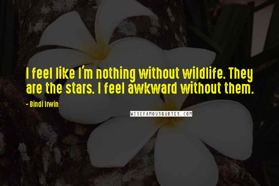 Bindi Irwin Quotes: I feel like I'm nothing without wildlife. They are the stars. I feel awkward without them.