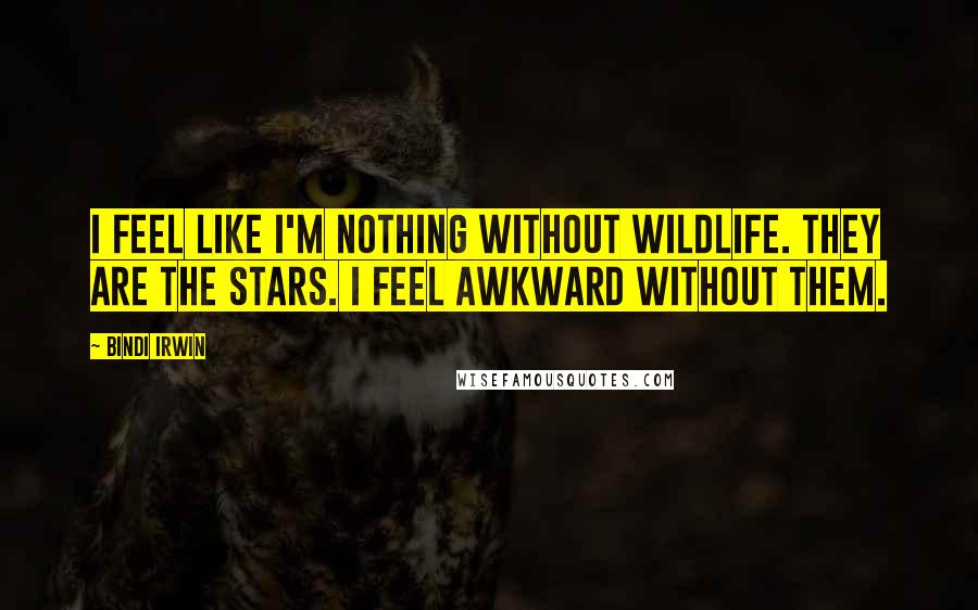 Bindi Irwin Quotes: I feel like I'm nothing without wildlife. They are the stars. I feel awkward without them.