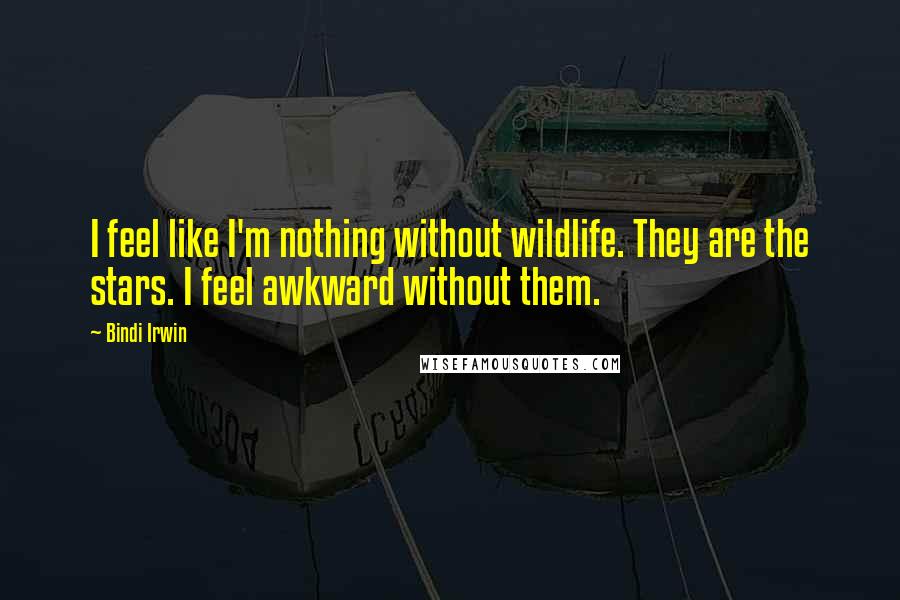 Bindi Irwin Quotes: I feel like I'm nothing without wildlife. They are the stars. I feel awkward without them.