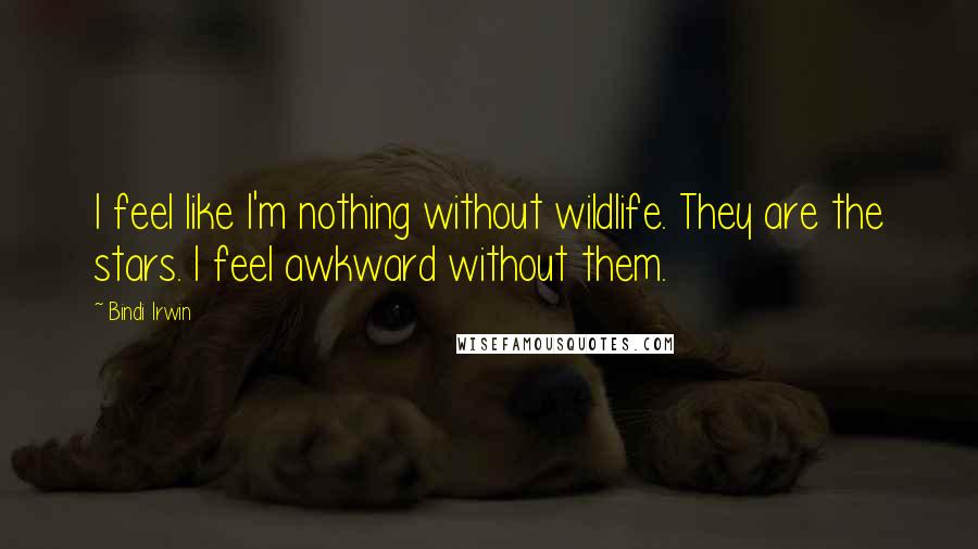 Bindi Irwin Quotes: I feel like I'm nothing without wildlife. They are the stars. I feel awkward without them.