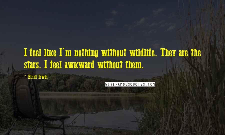 Bindi Irwin Quotes: I feel like I'm nothing without wildlife. They are the stars. I feel awkward without them.