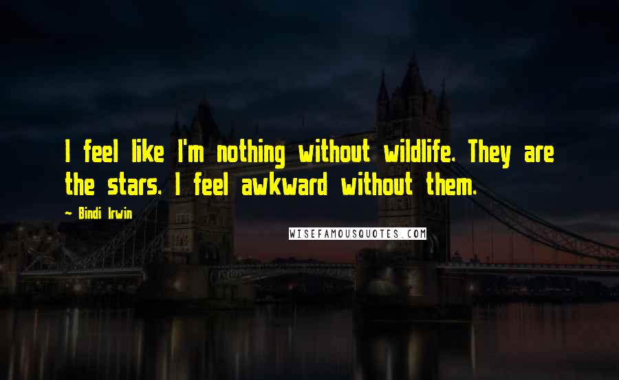 Bindi Irwin Quotes: I feel like I'm nothing without wildlife. They are the stars. I feel awkward without them.