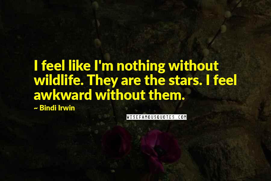 Bindi Irwin Quotes: I feel like I'm nothing without wildlife. They are the stars. I feel awkward without them.