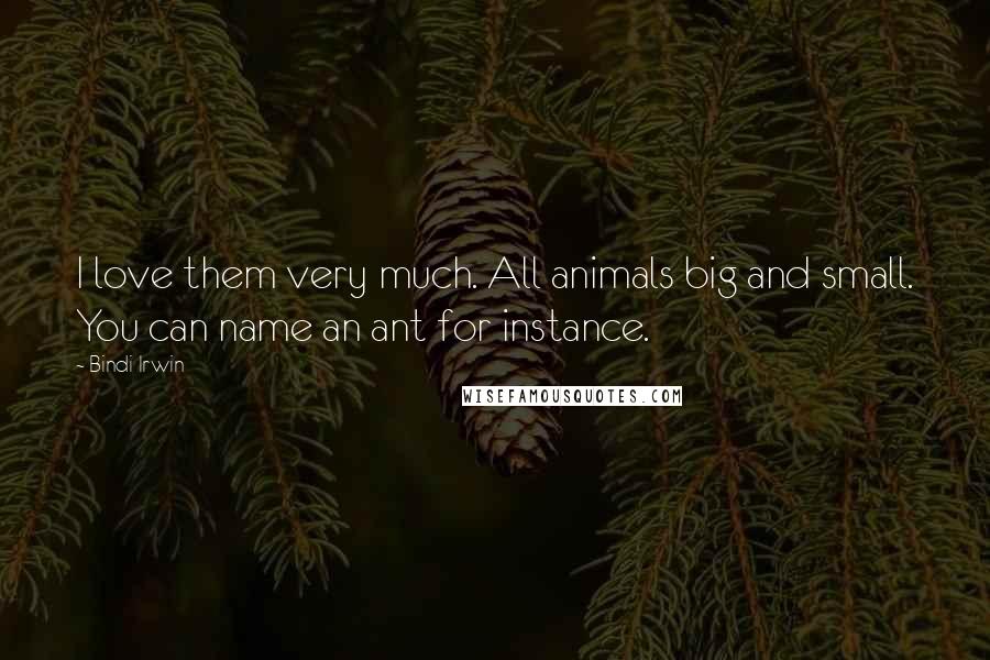 Bindi Irwin Quotes: I love them very much. All animals big and small. You can name an ant for instance.