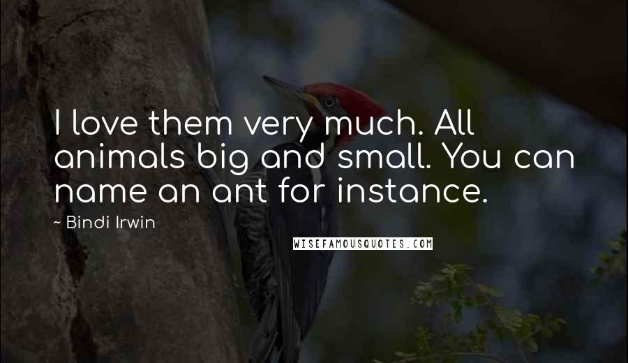 Bindi Irwin Quotes: I love them very much. All animals big and small. You can name an ant for instance.