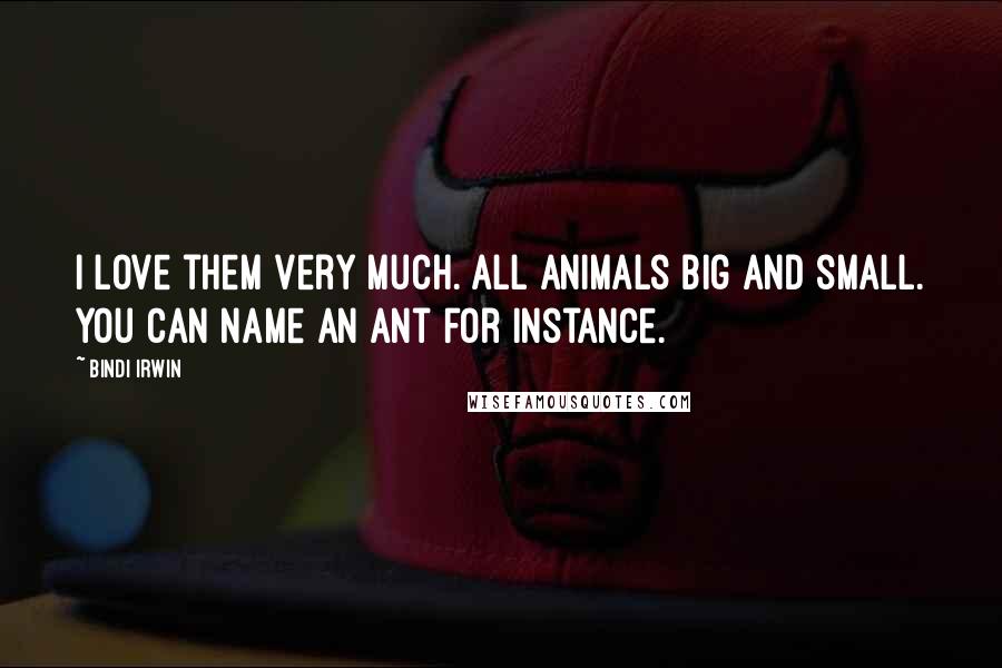 Bindi Irwin Quotes: I love them very much. All animals big and small. You can name an ant for instance.