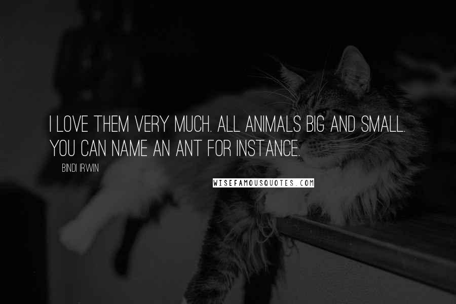 Bindi Irwin Quotes: I love them very much. All animals big and small. You can name an ant for instance.