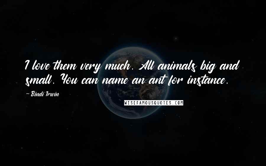 Bindi Irwin Quotes: I love them very much. All animals big and small. You can name an ant for instance.