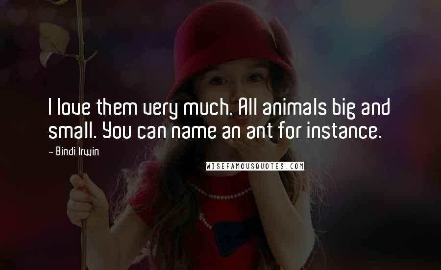 Bindi Irwin Quotes: I love them very much. All animals big and small. You can name an ant for instance.