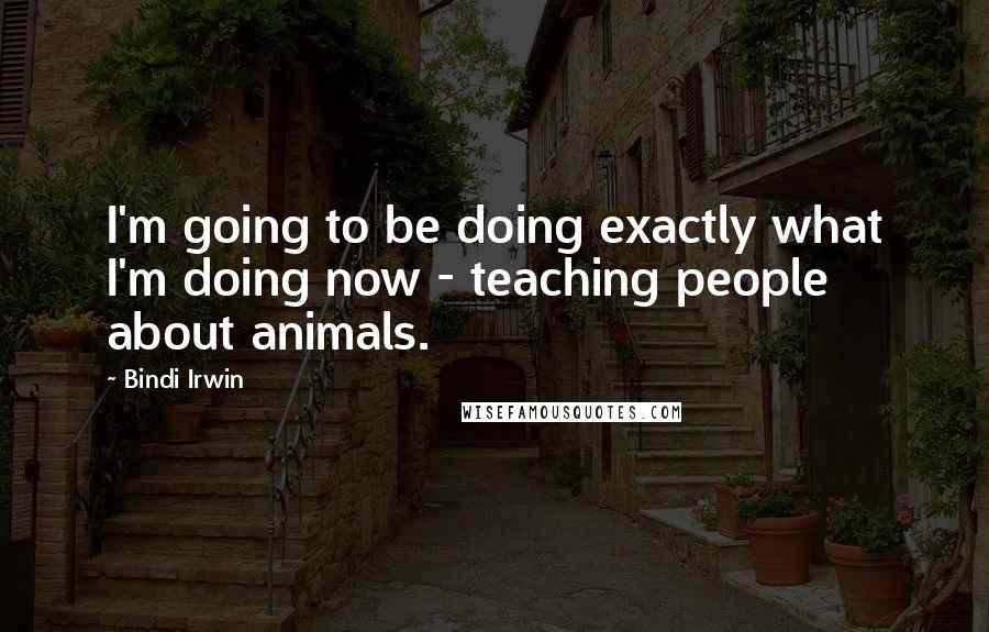 Bindi Irwin Quotes: I'm going to be doing exactly what I'm doing now - teaching people about animals.