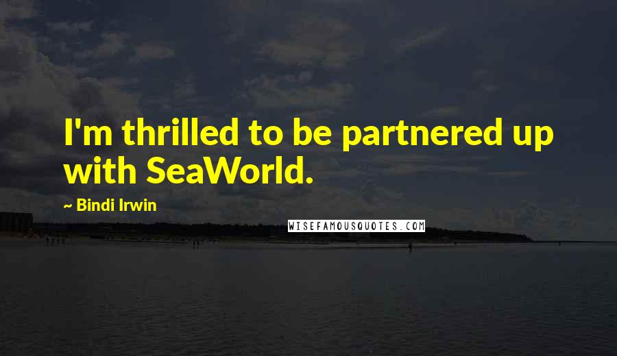 Bindi Irwin Quotes: I'm thrilled to be partnered up with SeaWorld.