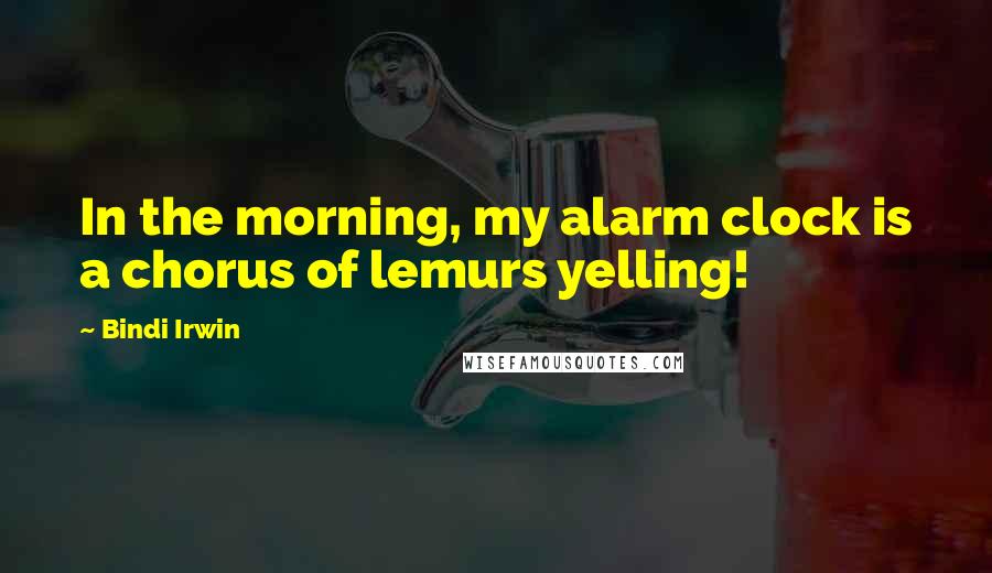 Bindi Irwin Quotes: In the morning, my alarm clock is a chorus of lemurs yelling!