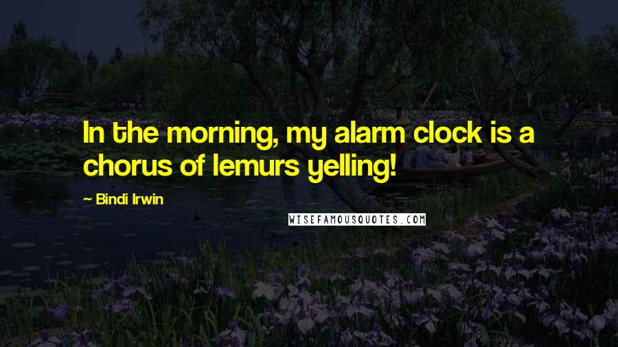 Bindi Irwin Quotes: In the morning, my alarm clock is a chorus of lemurs yelling!