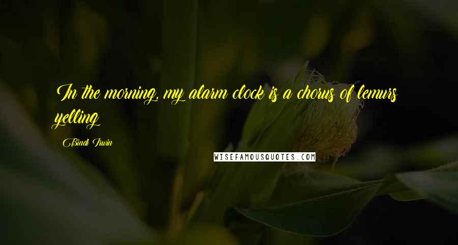 Bindi Irwin Quotes: In the morning, my alarm clock is a chorus of lemurs yelling!