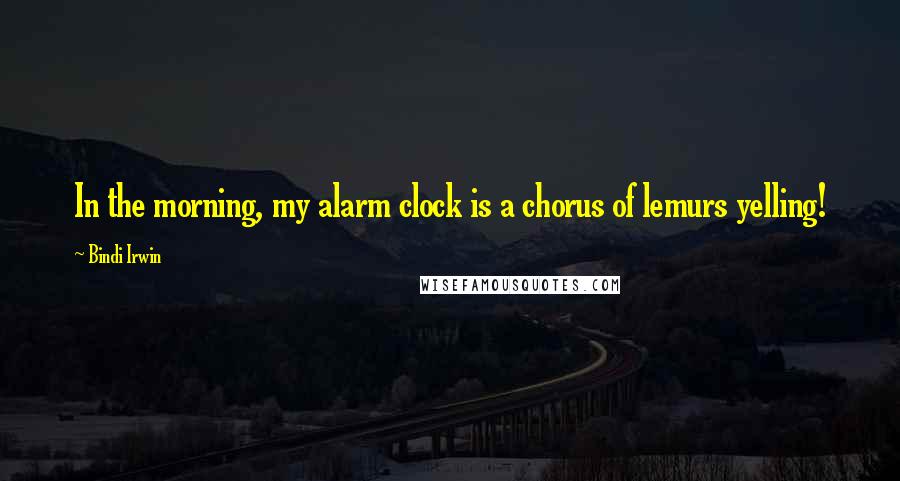 Bindi Irwin Quotes: In the morning, my alarm clock is a chorus of lemurs yelling!