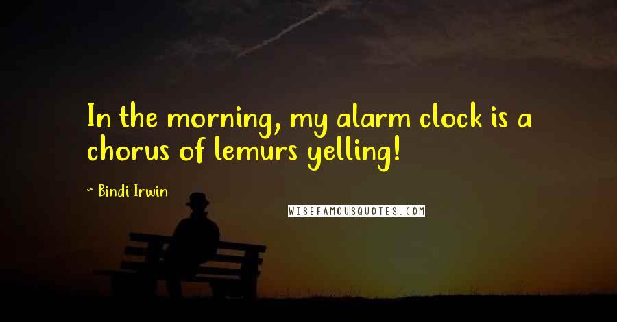 Bindi Irwin Quotes: In the morning, my alarm clock is a chorus of lemurs yelling!