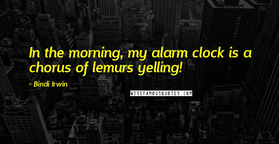 Bindi Irwin Quotes: In the morning, my alarm clock is a chorus of lemurs yelling!