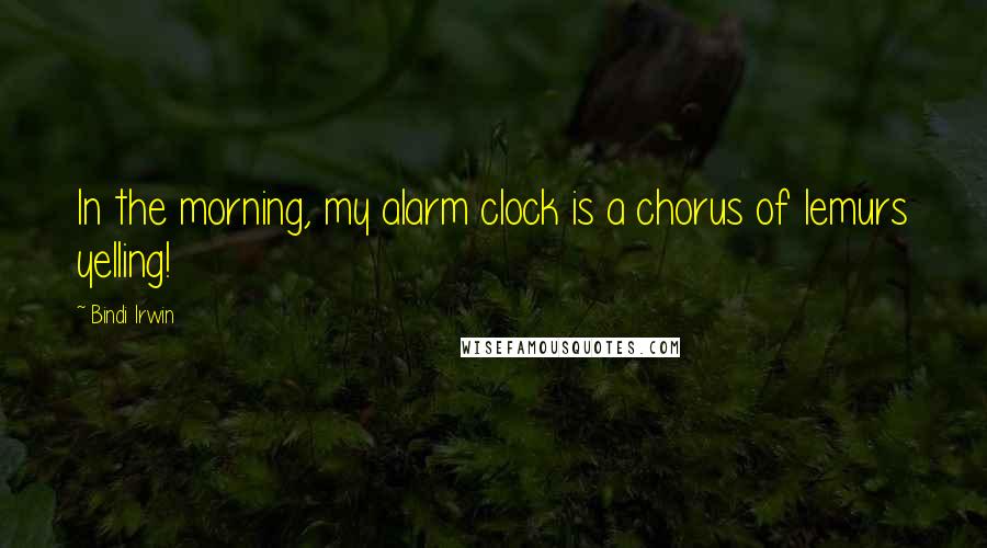 Bindi Irwin Quotes: In the morning, my alarm clock is a chorus of lemurs yelling!