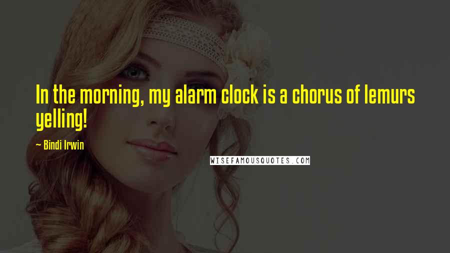 Bindi Irwin Quotes: In the morning, my alarm clock is a chorus of lemurs yelling!