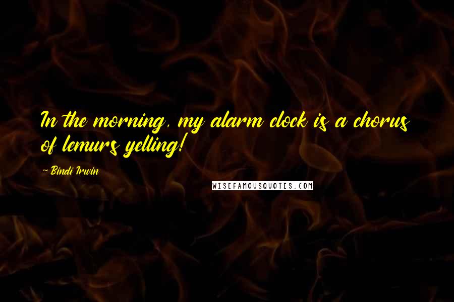 Bindi Irwin Quotes: In the morning, my alarm clock is a chorus of lemurs yelling!