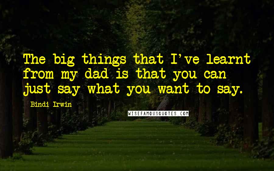 Bindi Irwin Quotes: The big things that I've learnt from my dad is that you can just say what you want to say.