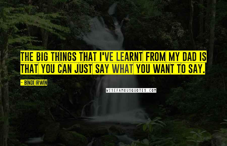 Bindi Irwin Quotes: The big things that I've learnt from my dad is that you can just say what you want to say.